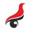 学信网app2022安卓版 学信网app2022安卓版