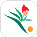 青草园足球app 青草园足球app