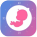 元墨孕育app最新版 元墨孕育app最新版