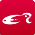 一体系app最新版 一体系app最新版