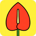 红掌花app最新版 红掌花app最新版