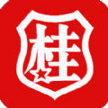 桂柳网app安卓版