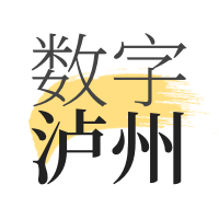 数字泸州app