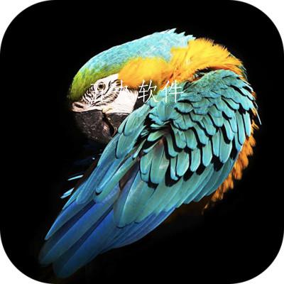 好用动态壁纸app