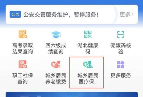 鄂汇办代缴医疗保险的方法（医疗保险代缴操作详情）