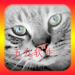 猫语翻译模拟器app 猫语翻译模拟器app