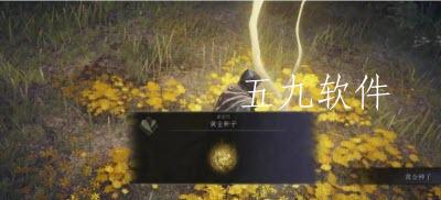 艾尔登法环黄金种子有什么用 艾尔登法环黄金种子在哪用 艾尔登法环黄金种子有什么用 艾尔登法环黄金种子在哪用