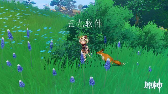 原神稻妻特色动物有什么 原神特色动物有哪些