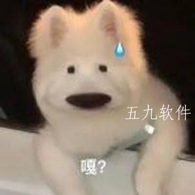 广西科目三是什么意思 广西科目三舞蹈什么梗