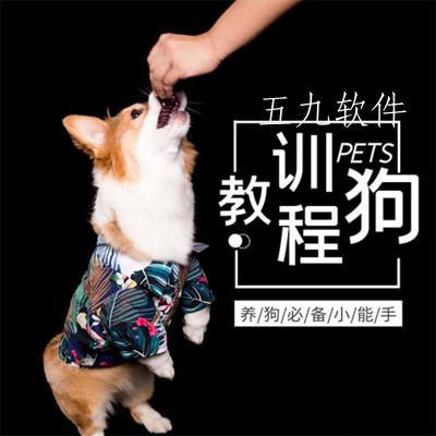 训狗教程app