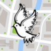 传信鸽app 传信鸽app
