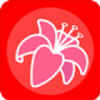 花添锦地app 花添锦地app