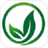 森玮达app 森玮达app