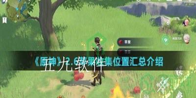 原神2.6苹果收集怎么完成  苹果收集的位置攻略是什么