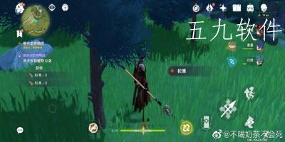 原神松果在哪里进行采集 松果的位置一般集中在哪