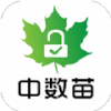 中数苗app