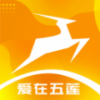元速莲山app