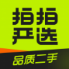 拍拍严选内销版
