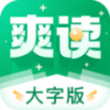爽读大字版app