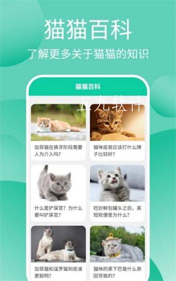猫猫交流工具app截图1