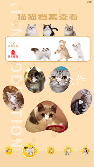 de9d786a82c84b2fb4ee5629d40f2e6e (2).png