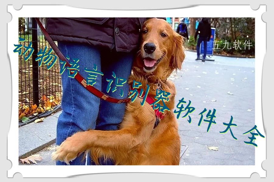 动物语言识别器软件大全