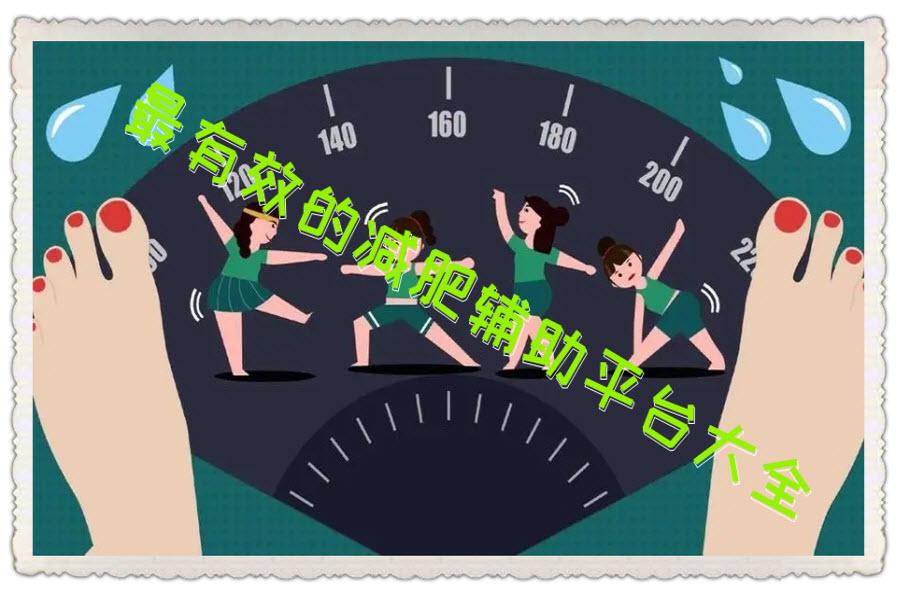 最有效的减肥辅助平台大全