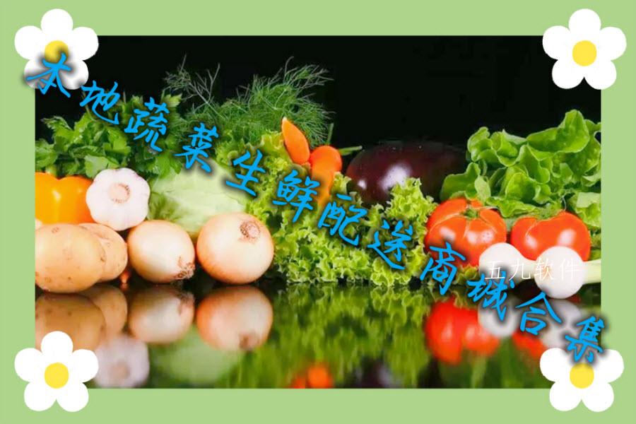 本地蔬菜生鲜配送商城合集