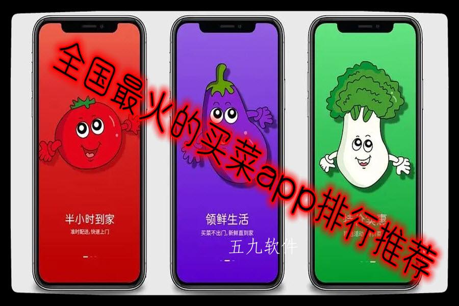 全国最火的买菜app排行推荐