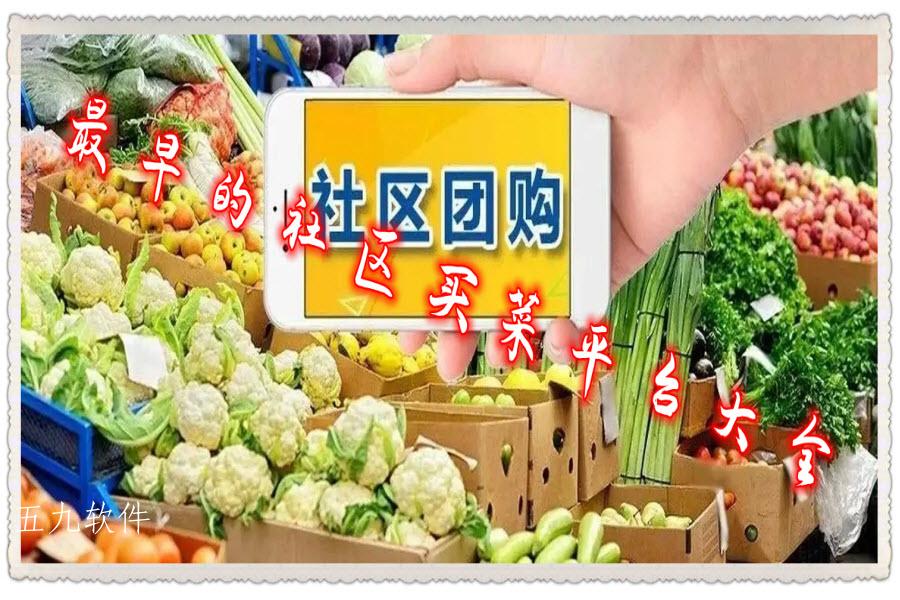 最早的社区买菜平台大全