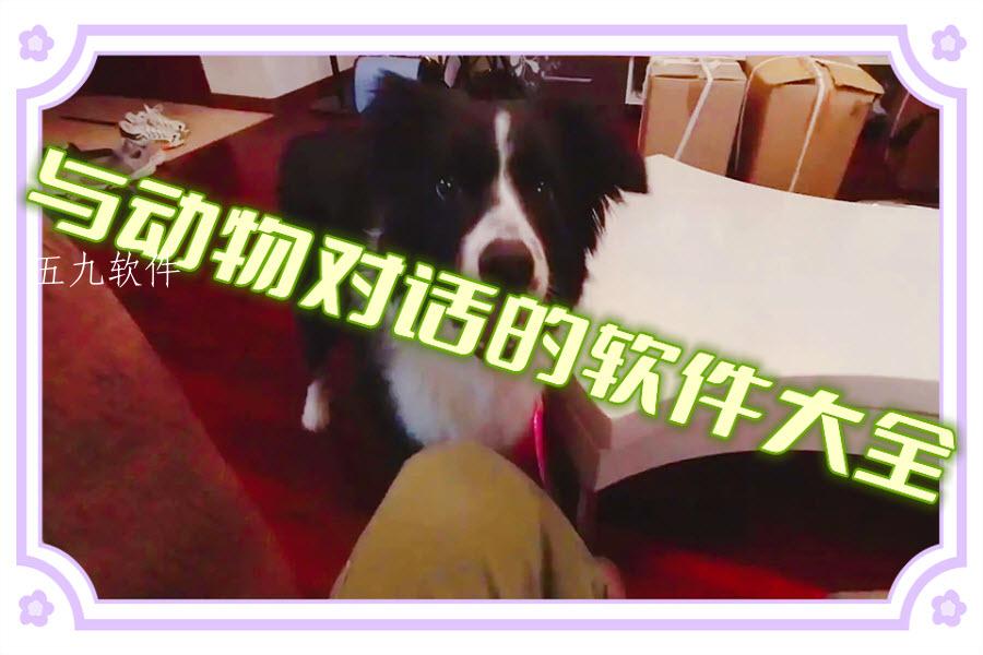 与动物对话的软件大全