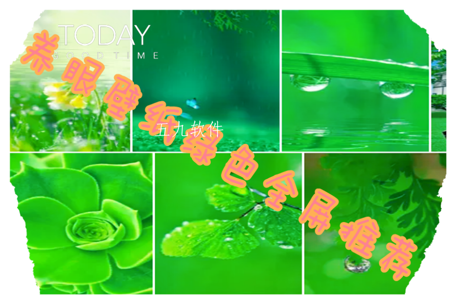 养眼壁纸绿色全屏推荐