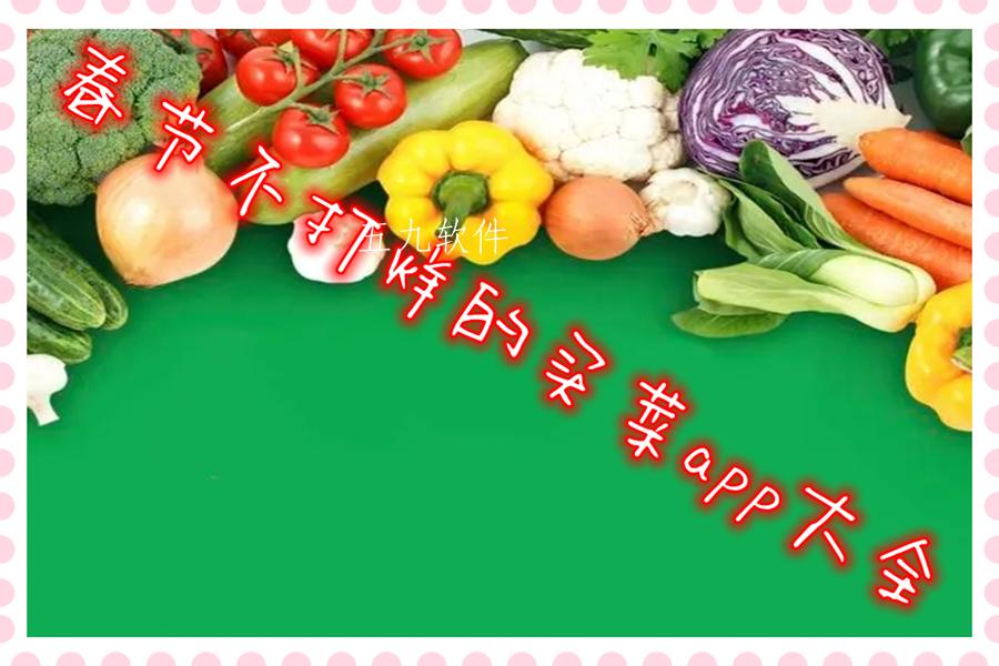 春节不打烊的买菜app大全 春节不打烊的买菜app大全