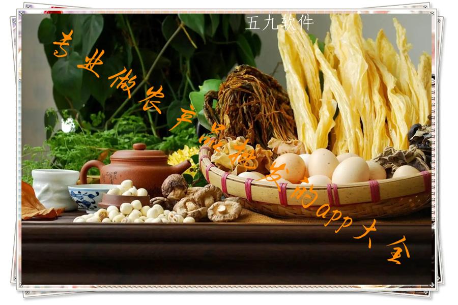 专业做农产品批发的app大全