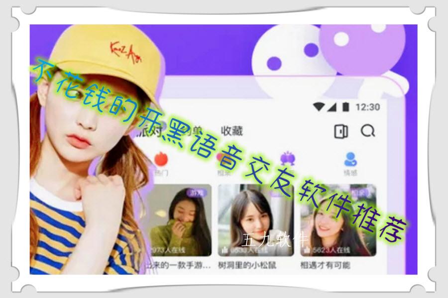 不花钱的开黑语音交友软件推荐
