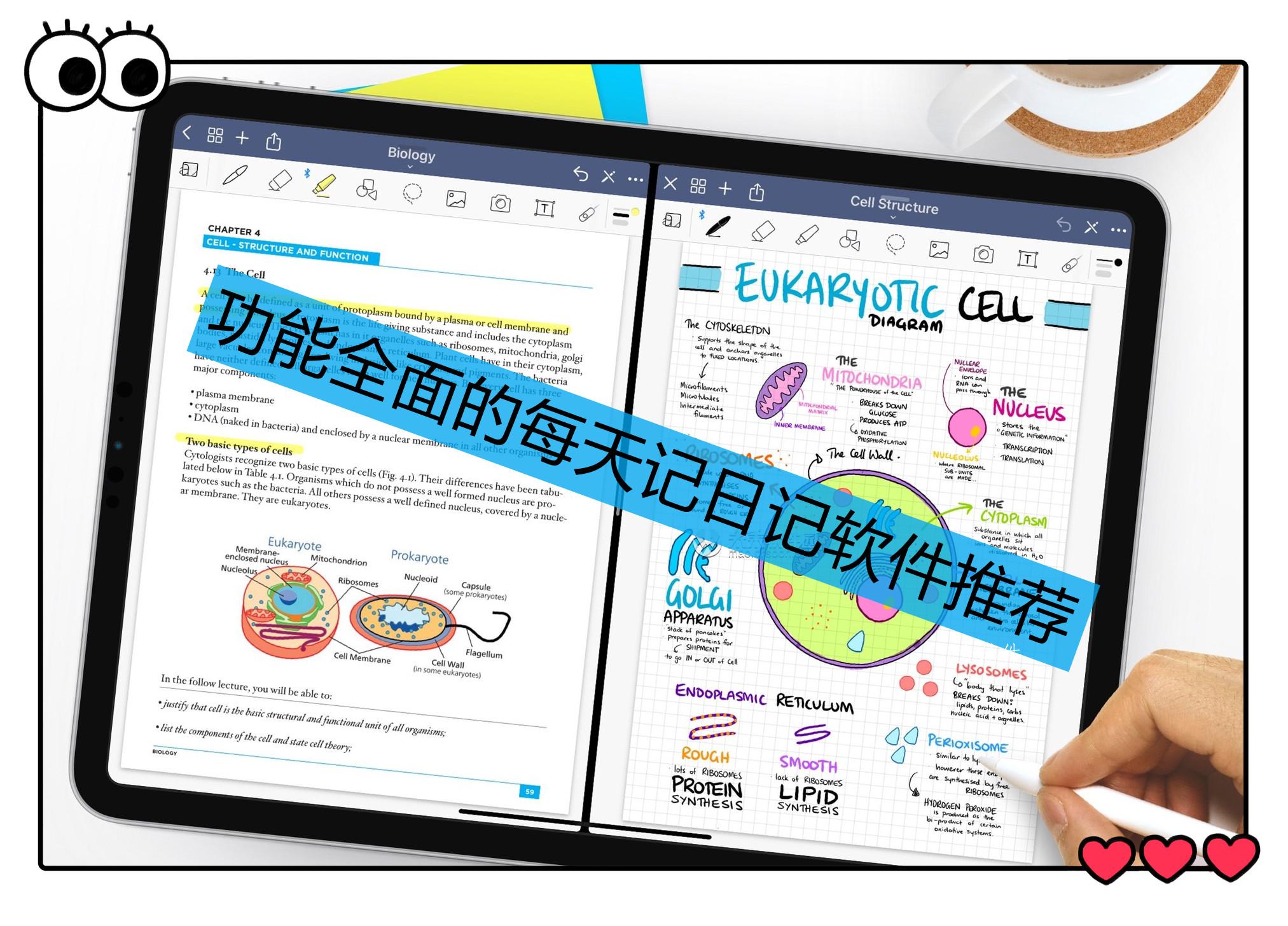 功能全面的每天记日记软件推荐