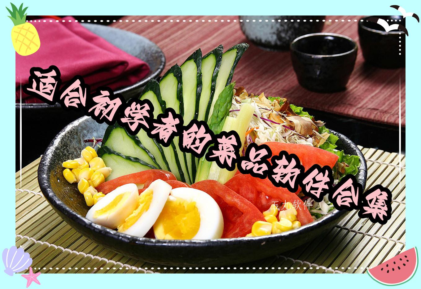 适合初学者的菜品软件合集