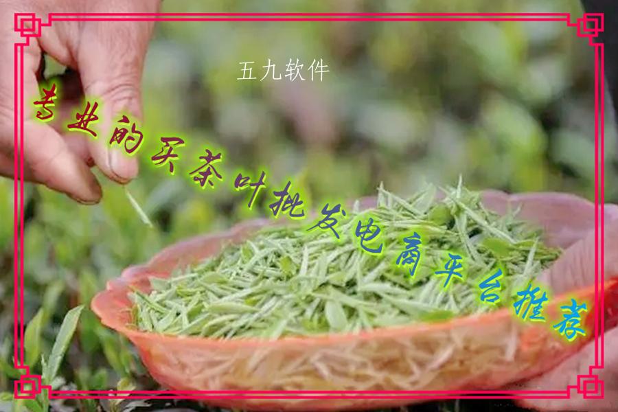 专业的买茶叶批发电商平台推荐