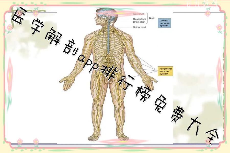 医学解剖app排行榜免费大全