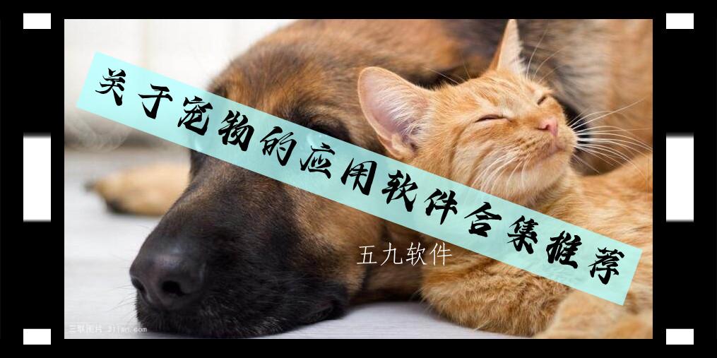 关于宠物的应用软件合集推荐