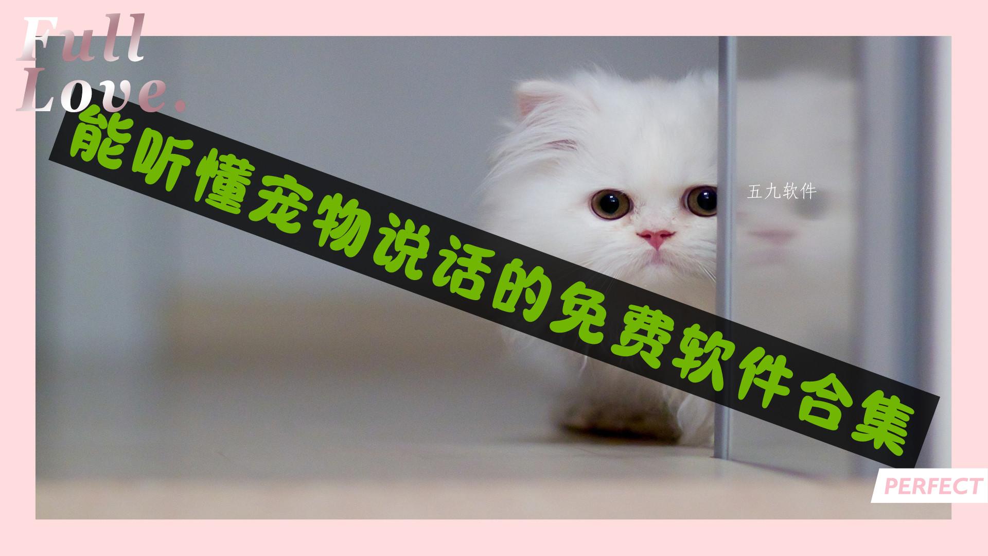 能听懂宠物说话的免费软件合集 能听懂宠物说话的免费软件合集