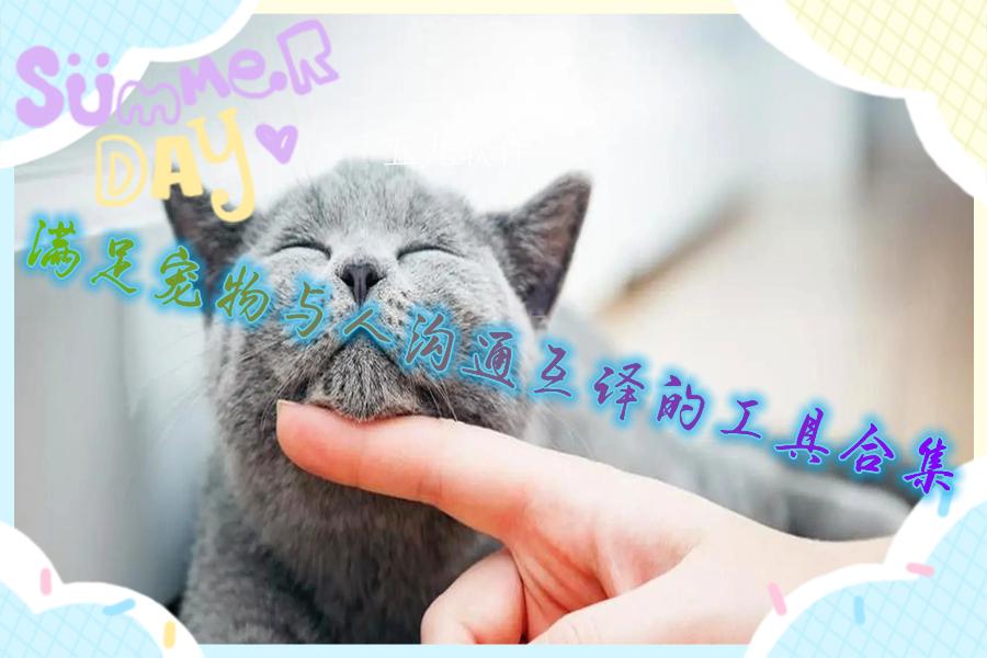 满足宠物与人沟通互译的工具合集