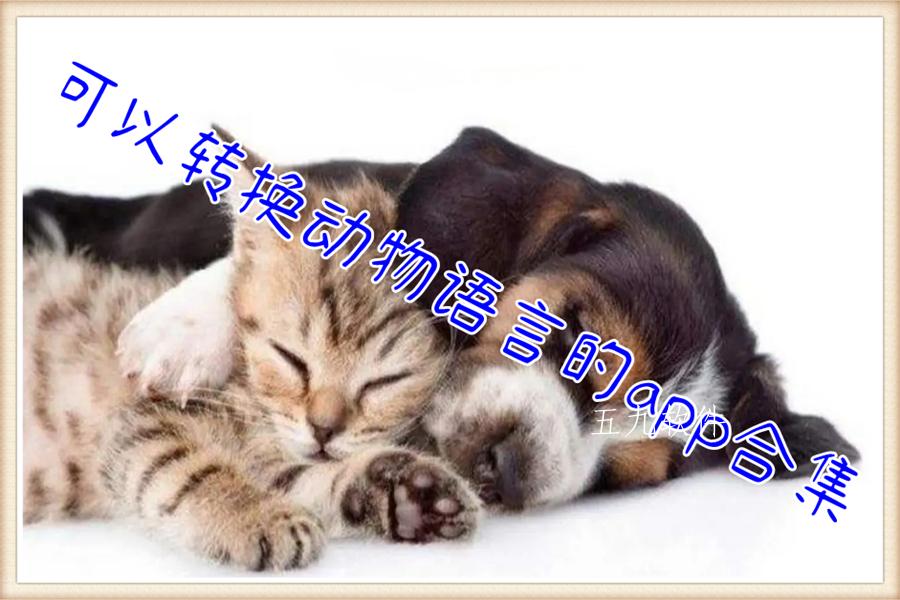 可以转换动物语言的app合集