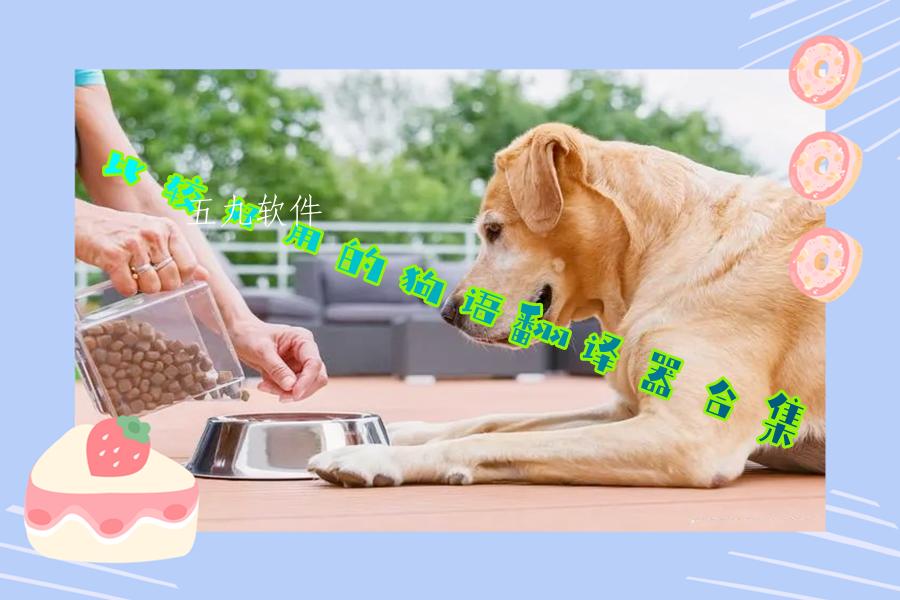 比较好用的狗语翻译器合集