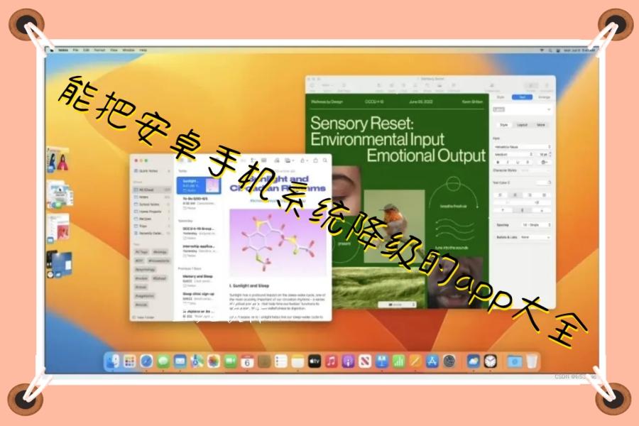 能把安卓手机系统降级的app大全