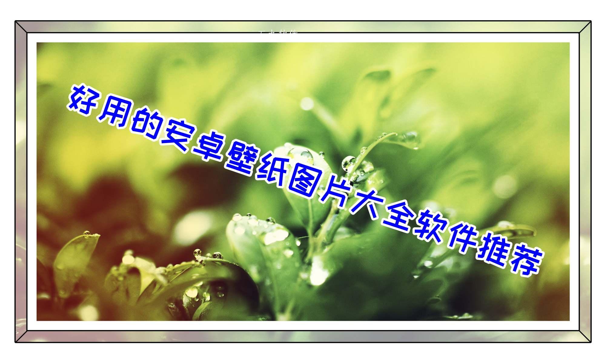 好用的安卓壁纸图片大全软件推荐