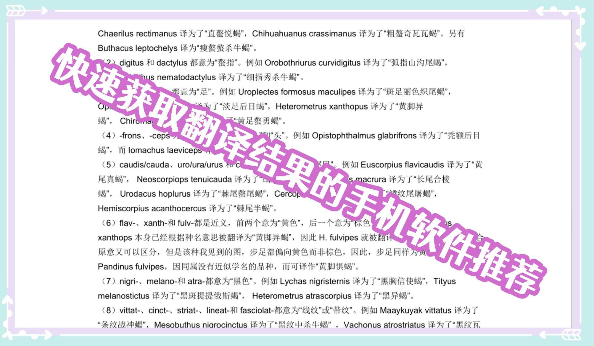 快速获取翻译结果的手机软件推荐