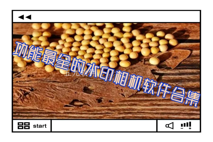 功能最全的水印相机软件合集