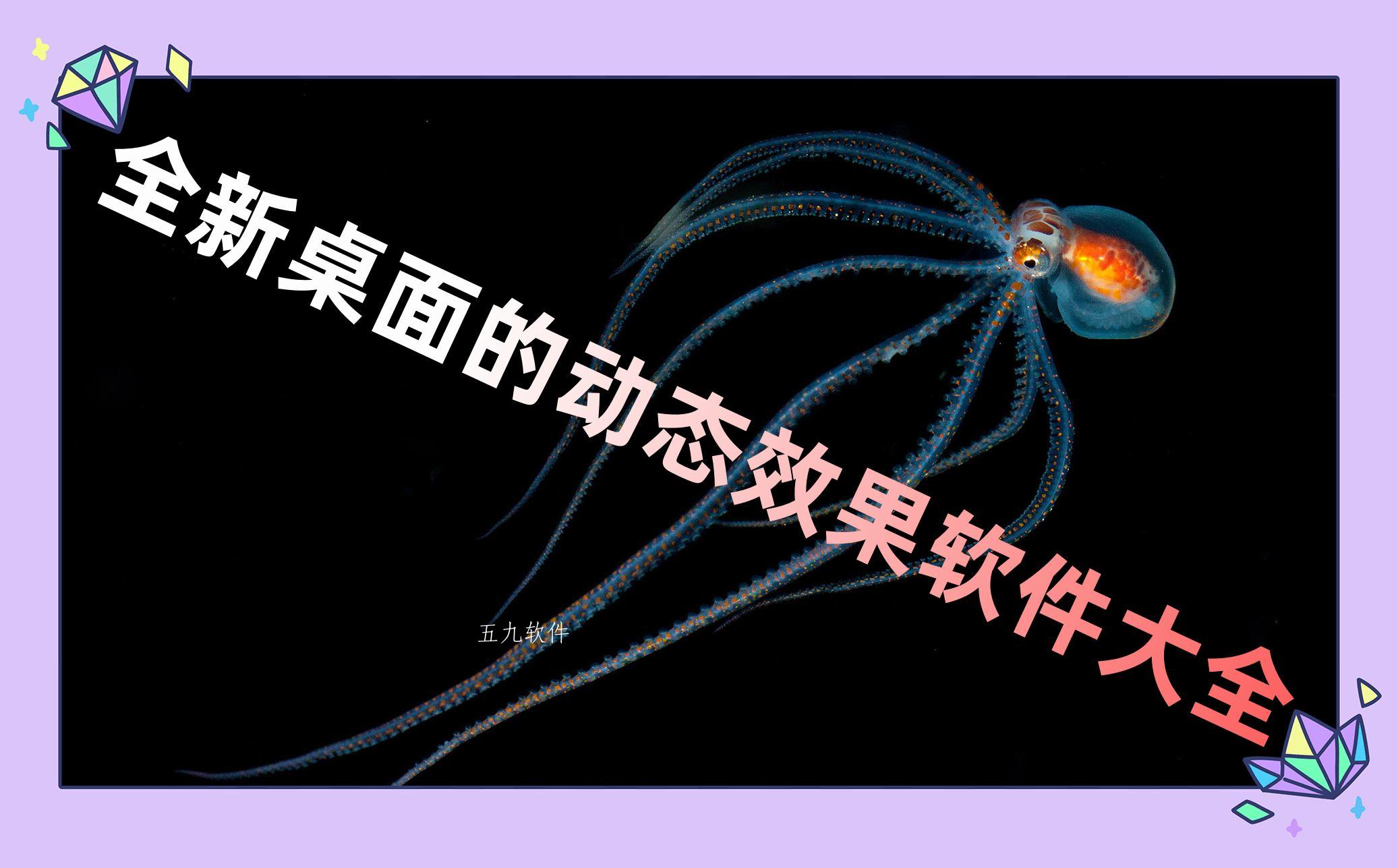 全新桌面的动态效果软件大全