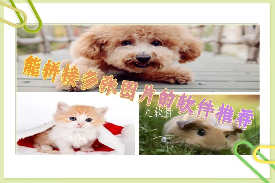 能拼接多张图片的软件推荐 能拼接多张图片的软件推荐